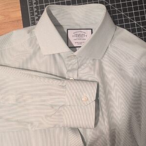Charles Tyrwhitt Green Striped Men's Shirt